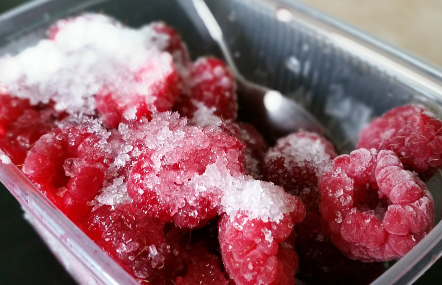Your freezer has failed, now what?